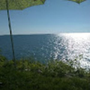 Meet your Posher, Nathan